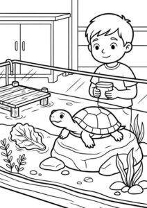 Kostenloses Ausmalbild mit Kind beim Füttern einer Schildkröte im Gehege, Wasserbereich, Steinen, Pflanzen und kleiner Holzplattform