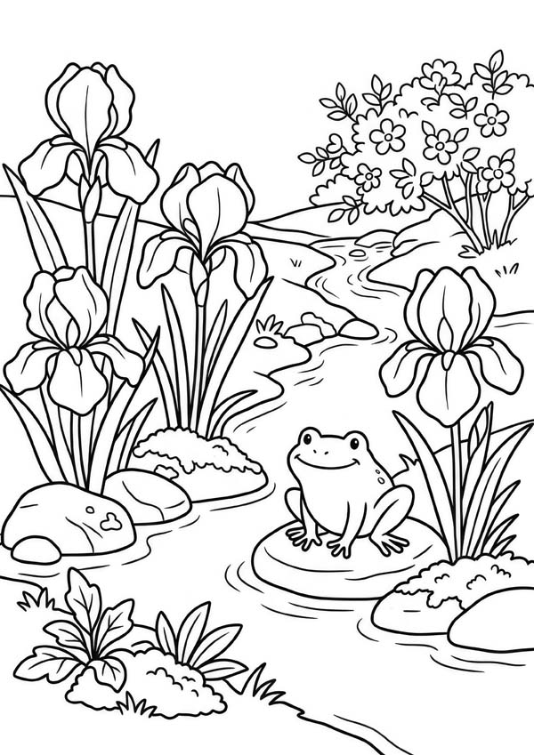 Ausmalbild mit einem Frosch zwischen blühenden Schwertlilien an einem kleinen Bach